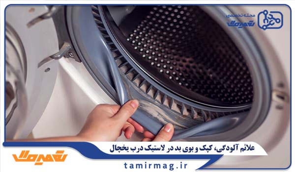 علائم آلودگی، کپک و بوی بد در لاستیک درب لباسشویی